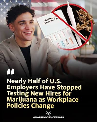 Marijuana Laws